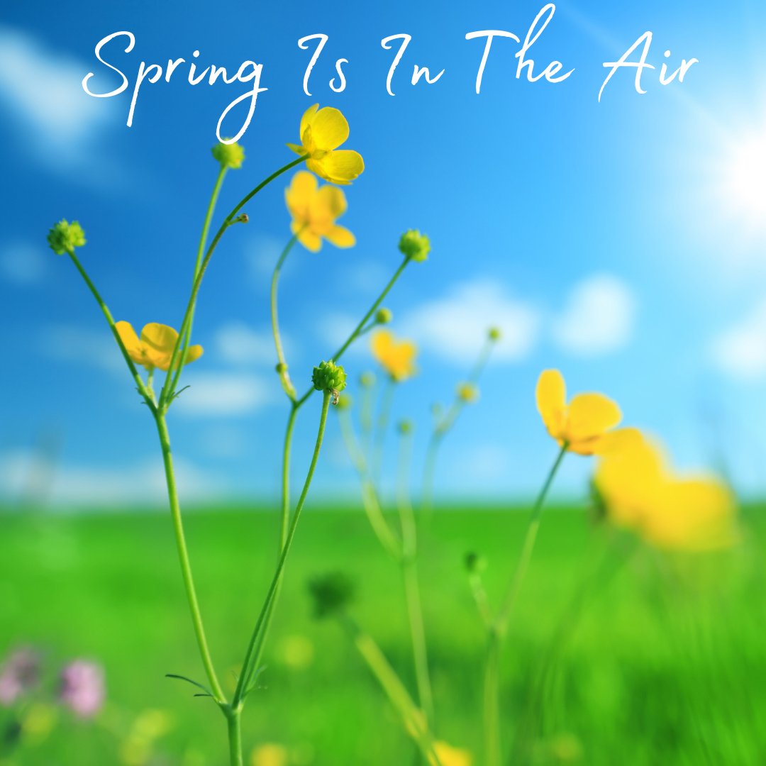 🌼  Spring Resin-Spiration 🌼 - Craft Resin UK