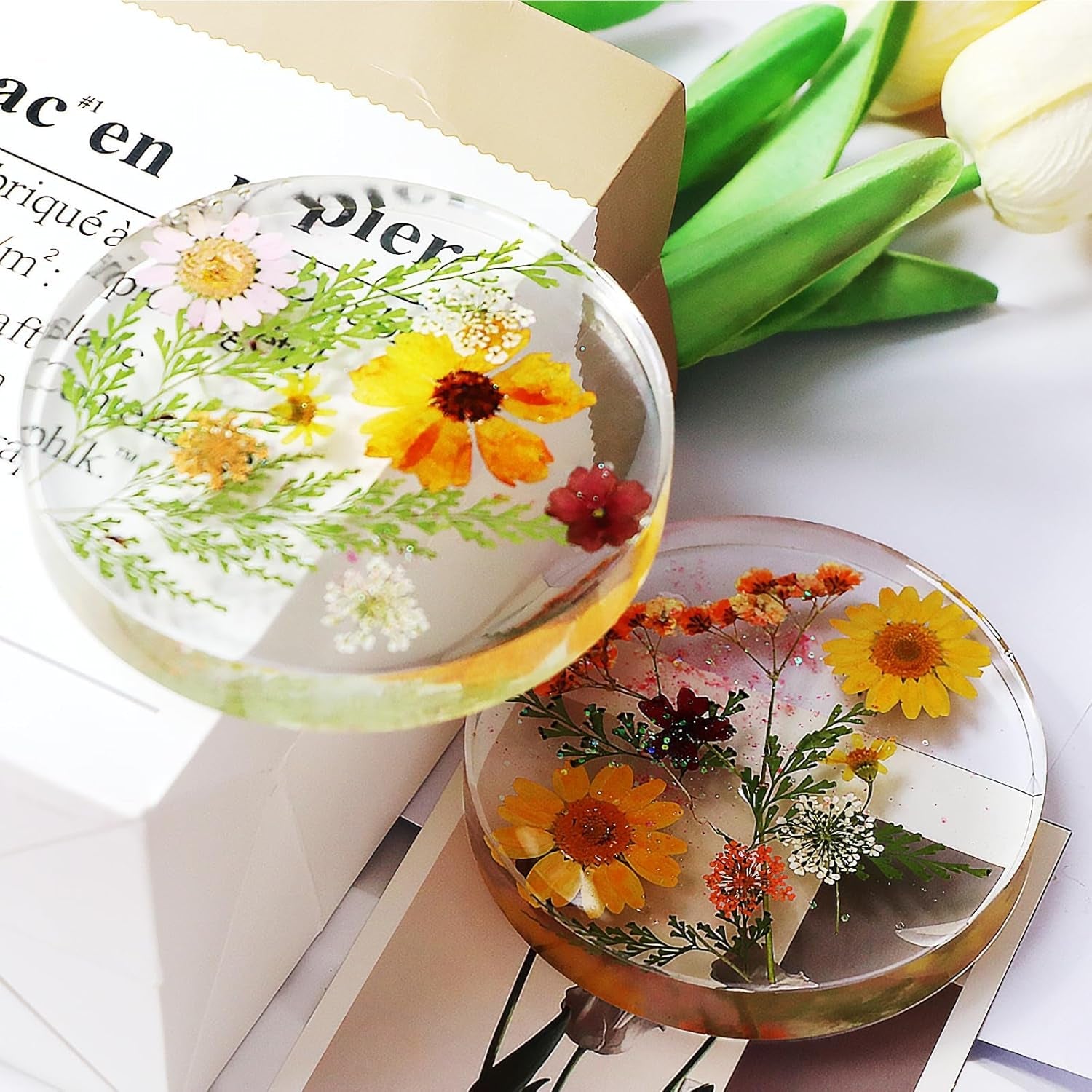 6 - Cavity Deep Round Coaster Mould - Craft Resin UK